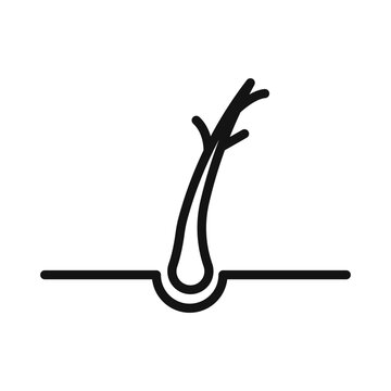 hair follicle simple black line art clip art preview