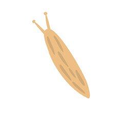 Slug Illustration