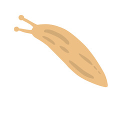 Slug Illustration