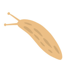 Slug Illustration
