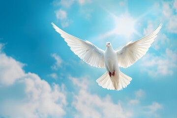 Fototapeta premium White Dove of Peace in the Air with Wings Wide Open Against Blue Sky
