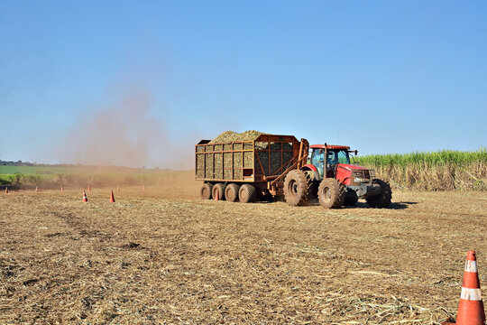 Transporte de cana de a&ccedil;&uacute;car no campo