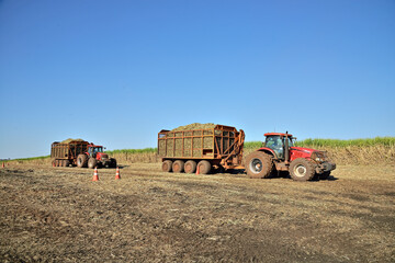 Transporte de cana de açúcar no campo