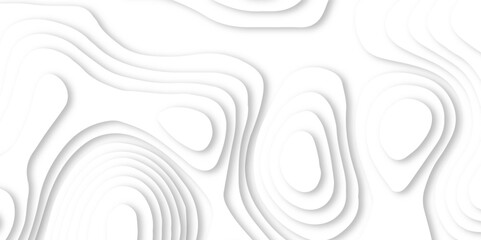 Modern paper cut art abstract background. Abstract realistic paper decoration for design textured with cardboard wavy white layers.