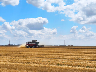 Сombine harvester collects crops wheat