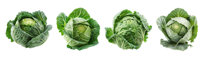 Obraz premium Four cabbages isolated on transparent background, round raw leaves earthy