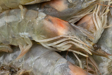 crevettes crues, en gros plan, dans une assiette