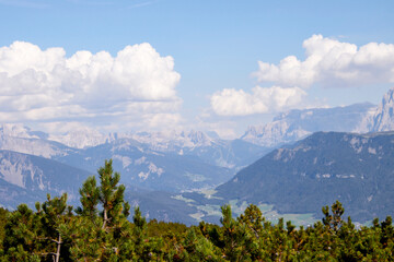 wanderung am rittner horn in südtirol
