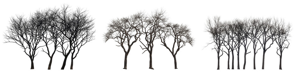 Digital art of group of black trees without leaves isolated on transparent background