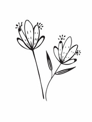 Hand-drawn style line art of a daisy flower vector illustration