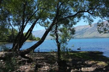 Photo of lakeside view of Lake Wakatipu or Whakatipu wai-maori and The Remarkables in Glenorchy, Otago region, South Island of New Zealand.