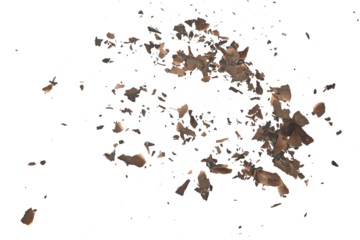 Burned, charred paper scraps flying isolated on white background, top view