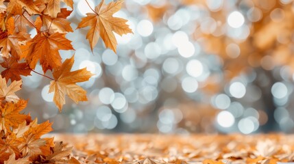 Fototapeta premium Orange maple leaves on the ground with a bokeh effect defocused background