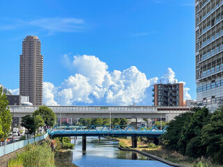 東京都墨田区 夏の風景（横十間川と首都高）