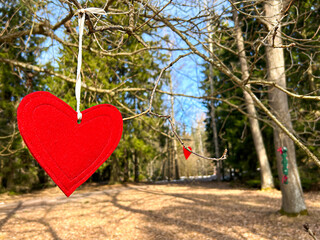 Red cloth heart on the tree