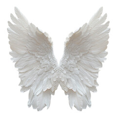 Fototapeta premium White angel wings spread out symmetrically.