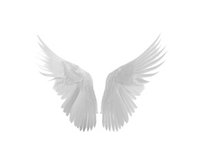 White angel wings on a white background.