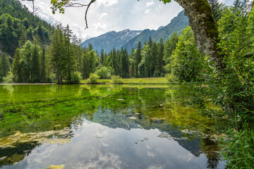 Schiederweiher, Hinterstoder, Österreich - Blick vom Seerand  auf die Alpen
