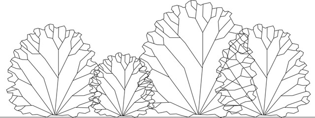 Vector silhouette illustration sketch detailed design of a collection of plants with lots of leaves and twigs in the garden