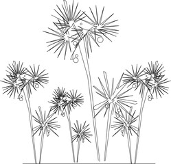 Vector silhouette illustration sketch detailed design of collection of tree plants with lots of leaves and twigs in the forest 