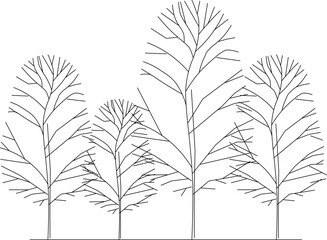 Vector silhouette illustration sketch detailed design of collection of tree plants with lots of leaves and twigs in the forest 