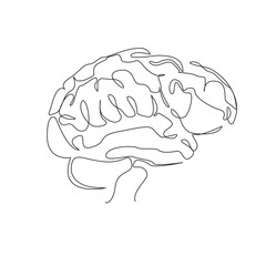 One continuous single drawing line art flat doodle  concept, intelligence, science, brain, human, biology, organ, anatomy, mind. Isolated image hand draw contour on a white background
