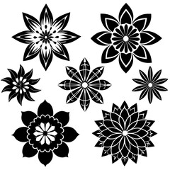 black and white flowers