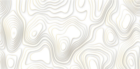 Abstract papercut multi layers background. 3D topographic pattern banner design. White papercut wave background design. Vector illustration.