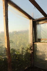 Wood logs in a greenhouse in a garden in the countryside