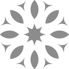 Burst sparkle decoration icon design