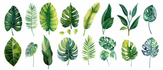 Vibrant watercolor illustration of various tropical leaves in different shapes and sizes, white background, clip art style, flat design


