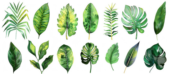 Fototapeta premium Vibrant watercolor illustration of various tropical leaves in different shapes and sizes, white background, clip art style, flat design