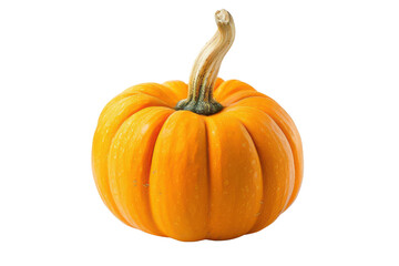 Bright orange pumpkin with a curved stem. Ideal for autumn, Halloween, and Thanksgiving themed designs or decorations.
