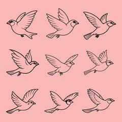 House Sparrow flying vector illustration