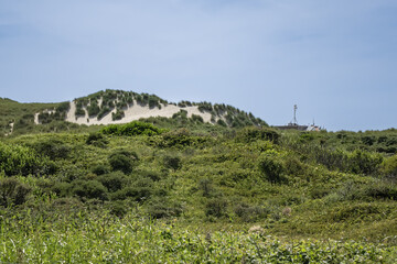 Picturesque green meadows and dunes on the island of Texel, in the north of the Netherlands.