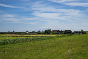 Picturesque green meadows and dunes on the island of Texel, in the north of the Netherlands.