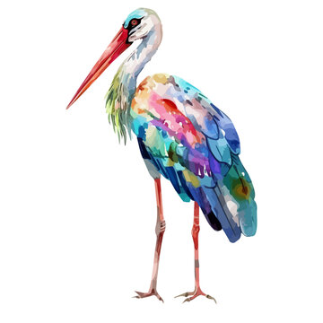 recommend clip art: Watercolor drawing clipart of a stork, isolated on a white background, Illustration painting, stork vector, drawing, design art, clipart image, Graphic logo