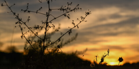 sunset in the mountains © Almudena