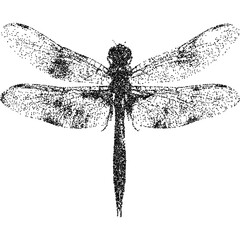 Dragonfly in smile with halftone stipple effect, for grunge punk y2k collage design. Vector illustration in stipple halftone brutalist retro design for vintage banner