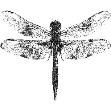 Dragonfly with halftone stipple effect, for grunge punk y2k collage design. Vector illustration in stipple halftone brutalist retro design for vintage banner
