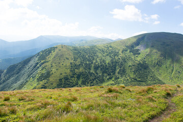 Obraz premium Hiking in the mountains. Carpathian Mountains. Rest in the mountains. Mountain scenery in nice summer sunny weather. Mountain landscapes.