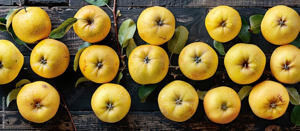 Aufkleber Yellow apples have varying beneficial qualities. They are ideal for cooking and making compote. The image shows them arranged horizontally with copy space available.