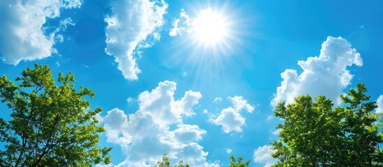 A serene landscape featuring a bright blue sky with scattered trees and clouds, ideal for adding text or images, known as copy space image.