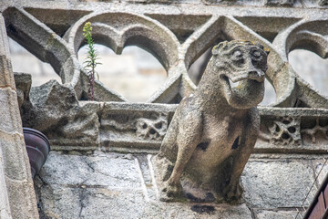 Stone Gargoyle at Saint Corentin Cathedral in Quimper, Brittany