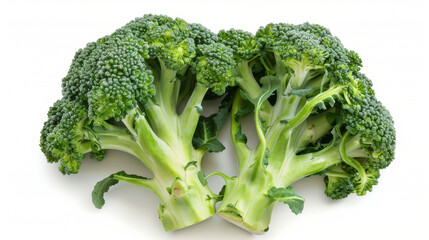 Broccoli on white background, top view