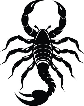 recommend clip art: scorpion silhouette vector illustration 