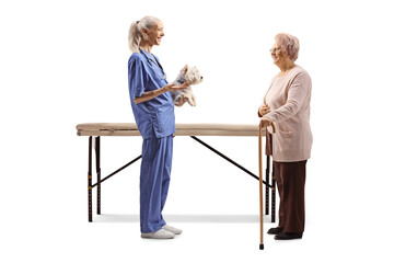 Obraz premium Female veterinarian in a uniform holding a westie terrier dog and talking to an older lady