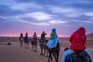 A group of travelers on camels witness the sunrise in Morocco's beautiful Merzouga desert. This is the most beautiful section of the Moroccan Sahara Desert.