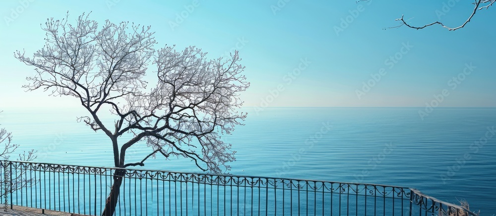 Poster Tree's bare branches tower beside a metal fence, overlooking a tranquil sea under a clear sky on a sunny day, creating a serene scene with copy space image.