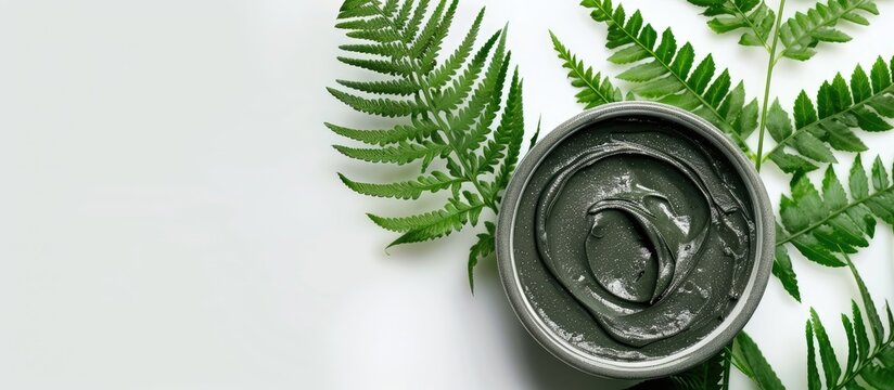 Natural wet clay mask with green fern on white backdrop, activated carbon bowl, and smear texture in clay mud face mask, representing a spa and skin care concept with copy space image.